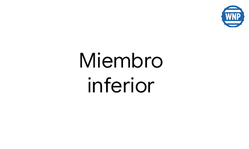 miembro inferior
