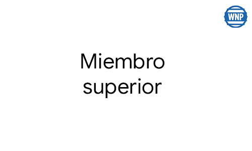 miembro superior